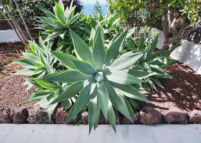 Casa Blanca Appartement
